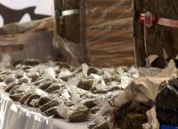 Ισημερινός: Κατάσχεση 1,5 τόνου κοκαΐνης κρυμμένης σε πακέτα με σοκολάτα σε σκόνη