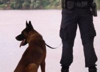 Η συγκινητική ανάρτηση της ΕΛΑΣ για τον σκύλο SATAN που πέθανε (pic)