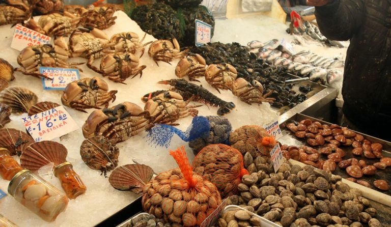 Μυτιλήνη: Κατασχέθηκαν 104 κιλά όστρακα