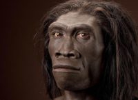 Homo Erectus: Ήταν ναυτικός που έφτασε στην Κρήτη