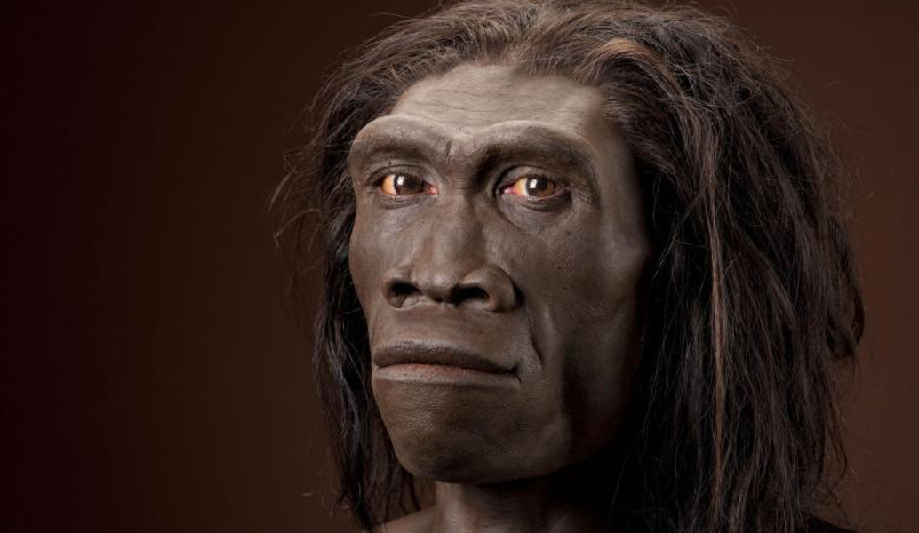 Homo Erectus: Ήταν ναυτικός που έφτασε στην Κρήτη