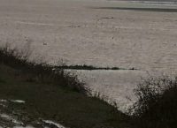 Αντιπεριφερειάρχης Τρικάλων: Σε “θάλασσα” έχουν μετατραπεί εκτάσεις στο δήμο Φαρκαδόνας