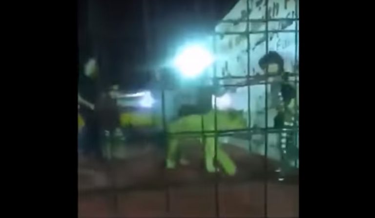 Σαουδική Αραβία: Λιοντάρι επιτίθεται σε κοριτσάκι (vid)