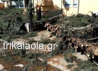 Τρίκαλα: Σάρωσε τα πάντα στο πέρασμά της η κακοκαιρία (pics &vid)