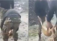 Αναγνωρίστηκαν οι οπλίτες που βασάνισαν σκύλο στο στρατόπεδο