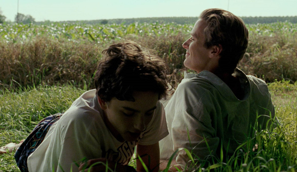 Κίνα: Σε λογοκρισία το οσκαρικό “Call me by your name”