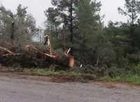Ανεμοστρόβιλος σάρωσε τα πάντα στη Χαλκιδική (vid)