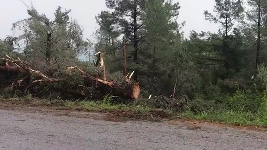 Ανεμοστρόβιλος σάρωσε τα πάντα στη Χαλκιδική (vid)