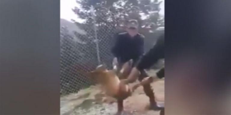 Tώρα ζητούν συγγνώμη οι στρατιώτες που βασάνισαν τον σκύλο
