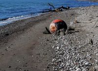 Το πολεμικό ναυτικό εξουδετέρωσε θαλάσσιες νάρκες του Β’ Παγκοσμίου πολέμου (pics)