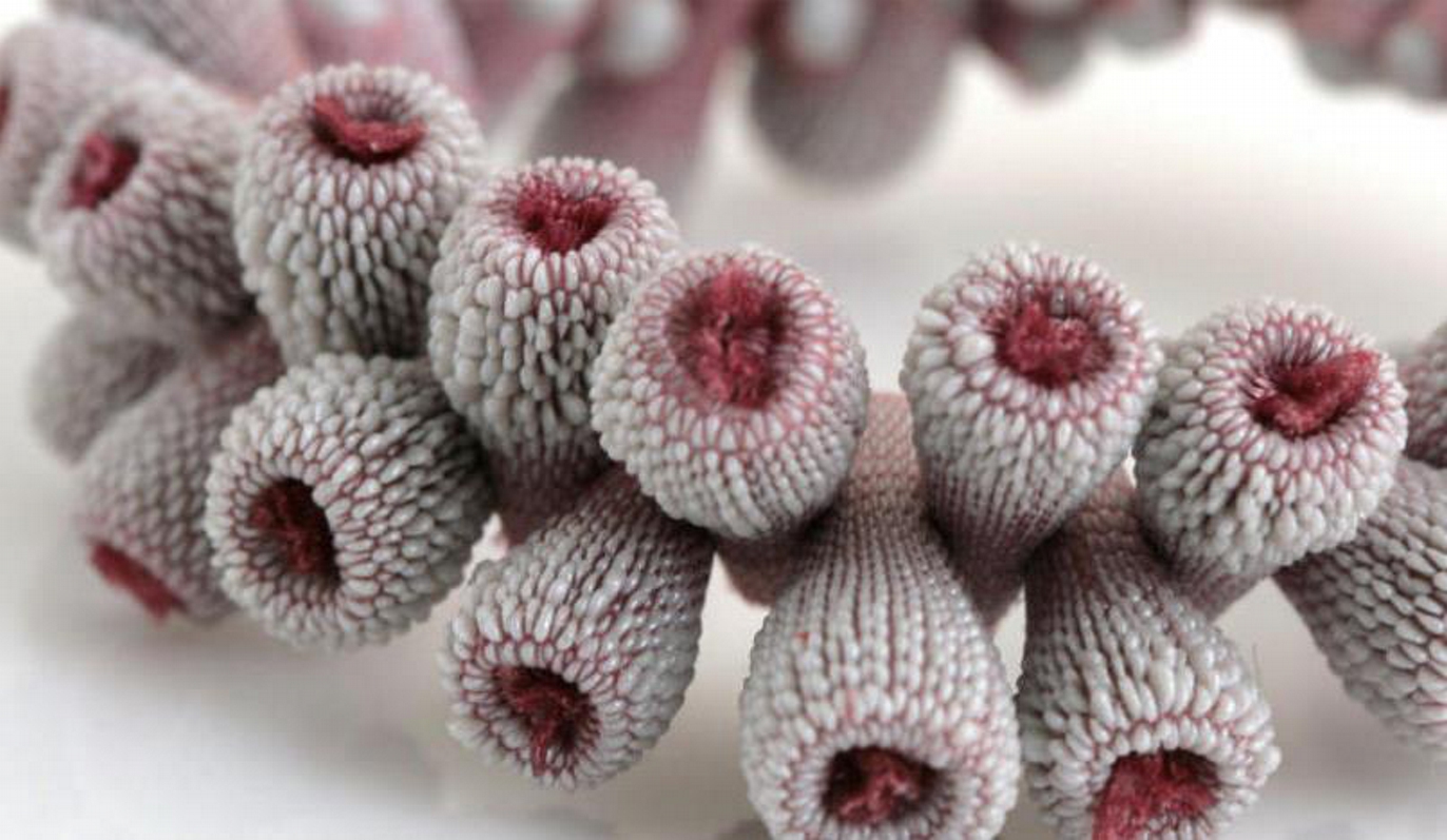 Tzuri Gueta: Η φύση εμπνέει τη σύγχρονη τέχνη και το design