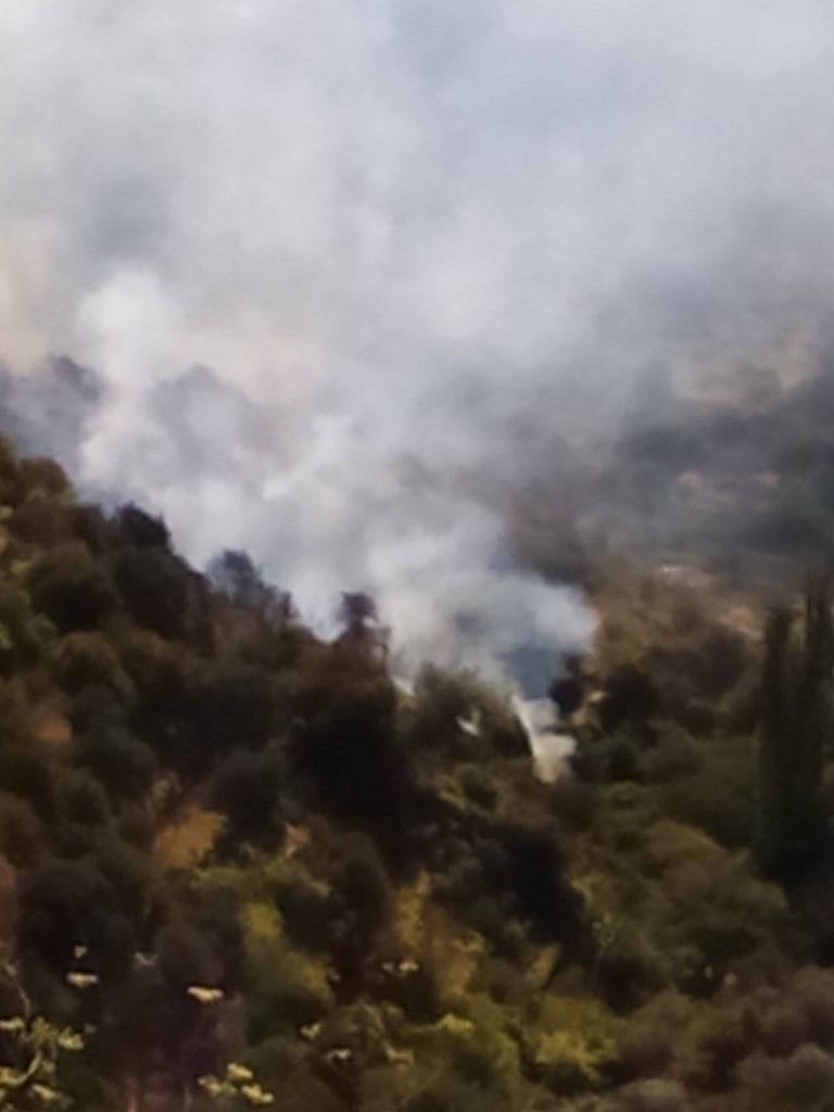Μεγάλη φωτιά στη Νάξο (pics&vid)