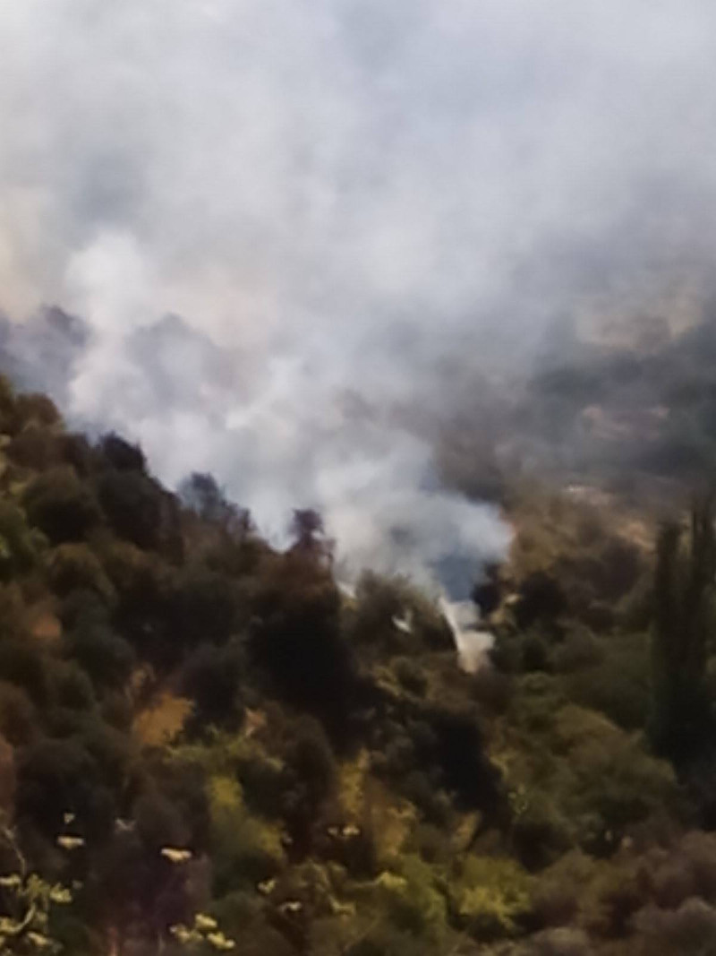 Μεγάλη φωτιά στη Νάξο (pics&vid)