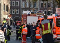 Γερμανία: Σκύλος αποκεφάλισε μωρό επτά μηνών