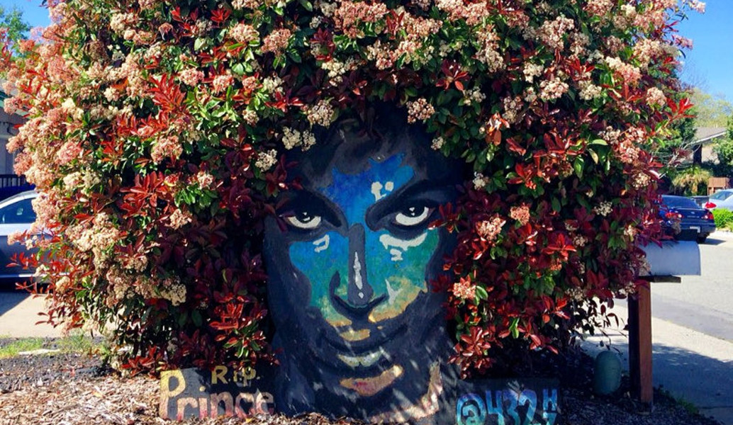 Ο Prince …άνθισε (pics &vid)