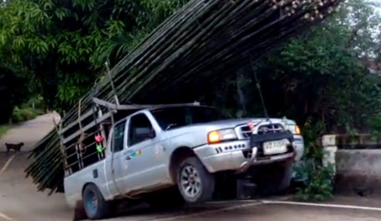 Viral: Αυτοκίνητο κάνει… σούζα λόγω υπερφόρτωσης ξύλων