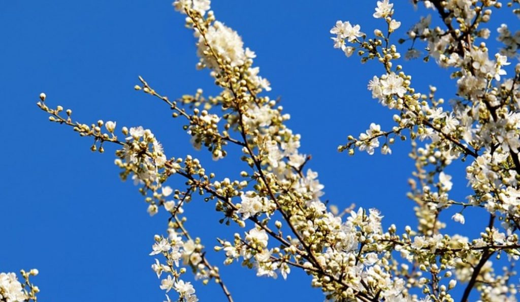 Καιρός: Η πρόγνωση για την Πέμπτη (10/5/2018)
