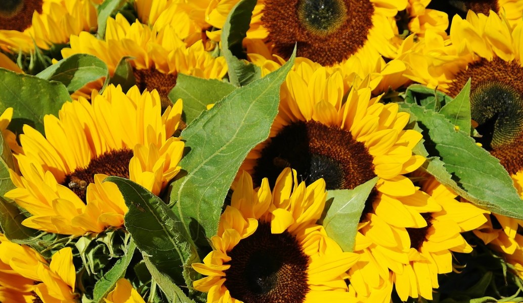 Καιρός: Η πρόγνωση για το Σάββατο (14/4/2018)