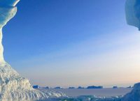 Λαχανικά χωρίς χώμα και φως από την …Ανταρκτική