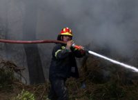 Σε εξέλιξη η φωτιά στην Ηλεία: Νύχτα τρόμου για τους κάτοικους