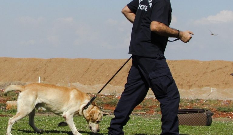 Κρήτη: Ψάχνουν σε δύσβατη περιοχή για να βρουν την 37χρονη έγκυο