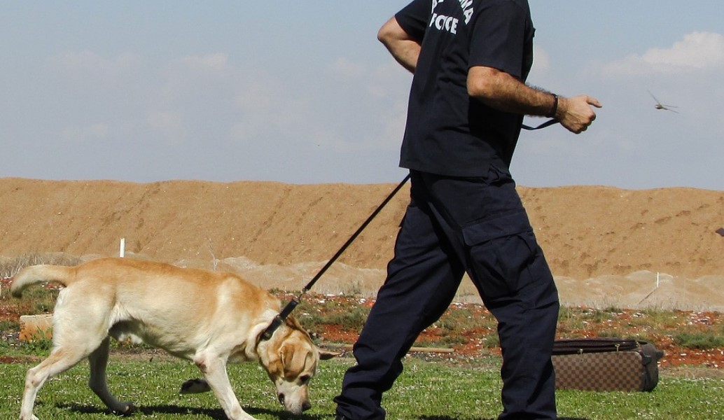 Κρήτη: Ψάχνουν σε δύσβατη περιοχή για να βρουν την 37χρονη έγκυο