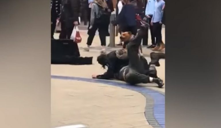 Σκύλος με ορέξεις διακόπτει τον καβγά δύο ανδρών (vid)