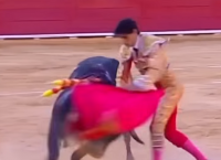 Τέλος ο κανόνας “μόνο άντρες” στις ταυρομαχίες