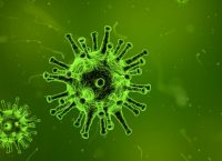 Candida Auris: Ο θανατηφόρος μύκητας που εξαπλώνεται σε όλη την Ευρώπη