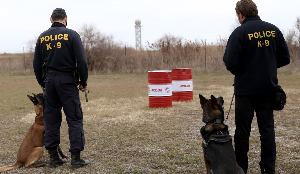 Αλεξανδρούπολη: Ξεπέρασε κάθε όριο – Έκρυβε κάνναβη στο νεκροταφείο