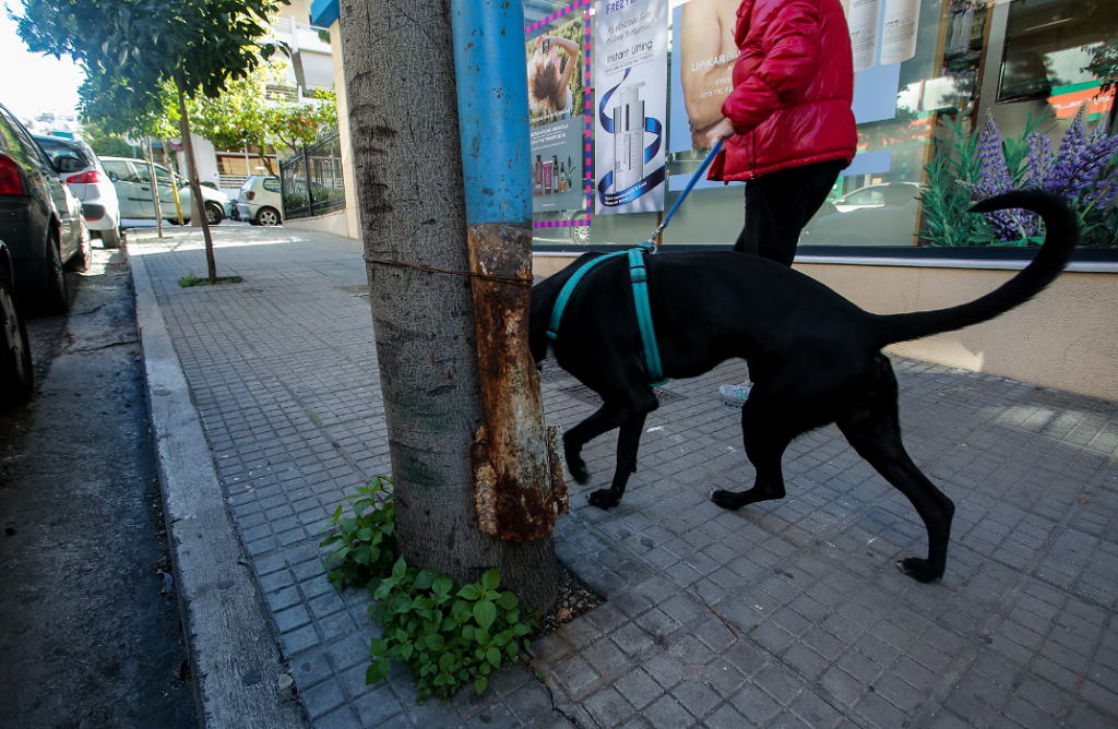 Ανακατασκευές πεζοδρομίων στον Δ. Παύλου Μελά
