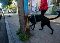 Ανακατασκευές πεζοδρομίων στον Δ. Παύλου Μελά