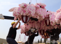 Η ανθισμένη κερασιά από Lego (vid)