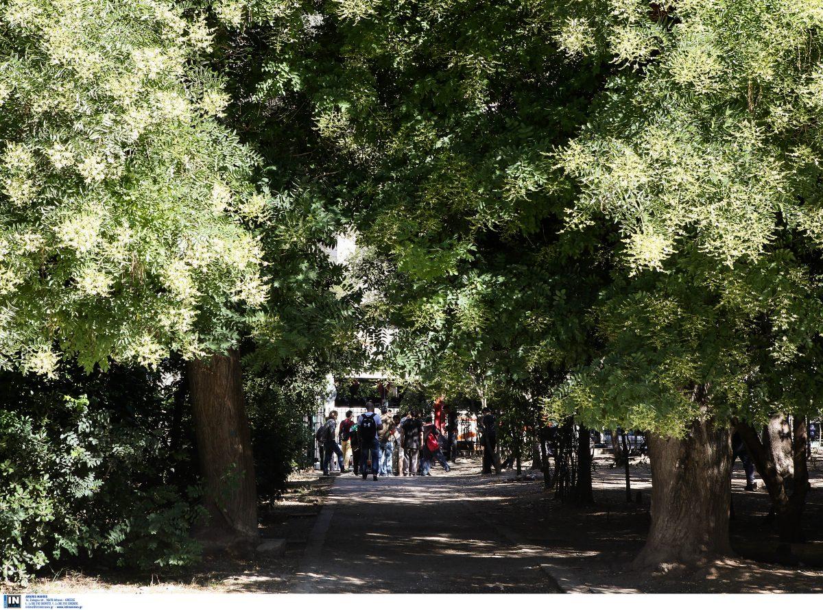 Νυχτερινός αγώνας δρόμου στο Πεδίον του Άρεως