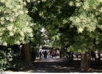 Νυχτερινός αγώνας δρόμου στο Πεδίον του Άρεως