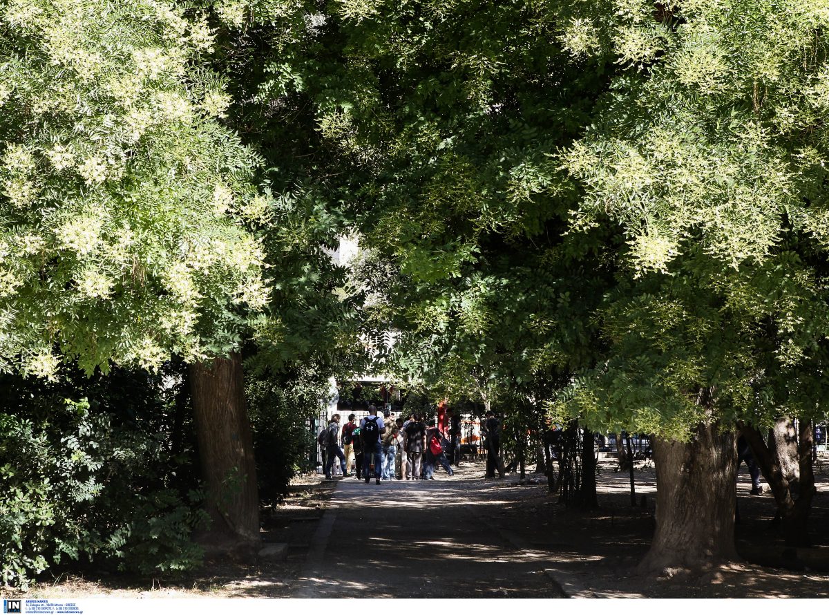 Νυχτερινός αγώνας δρόμου στο Πεδίον του Άρεως