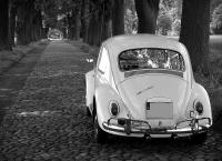 22 Ιουνίου: Παγκόσμια Ημέρα Σκαραβαίου