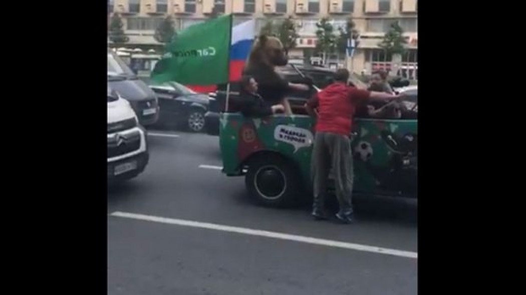 Μουντιάλ 2018: Αρκούδα πανηγυρίζει τη νίκη της Ρωσίας σε φορτηγάκι κρατώντας βουβουζέλα (vid)