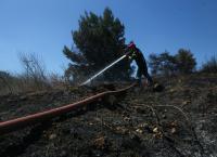 Φωτιά τώρα: Υπό έλεγχο η πυρκαγιά στην Κασσάνδρα Χαλκιδικής