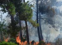 Κρήτη: Σε ύφεση αλλά με αναζωπυρώσεις η φωτιά στην περιοχή της Σητείας