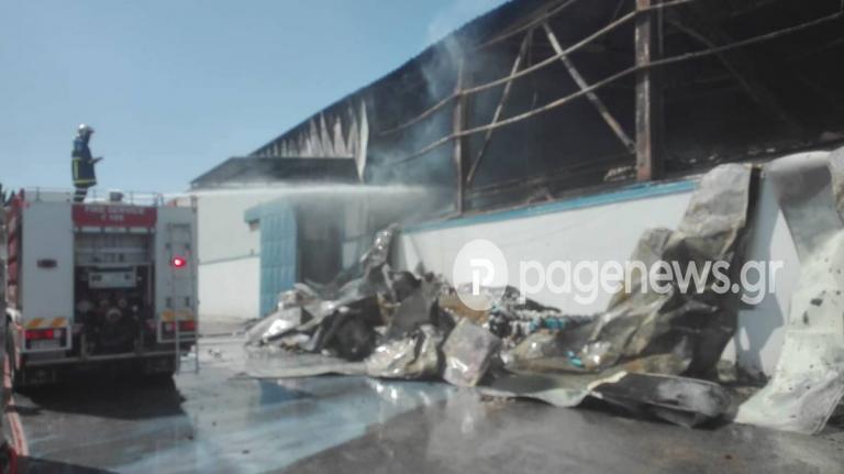 Μεγάλες καταστροφές από φωτιά σε βιομηχανικό κτίριο στα Οινόφυτα (pics&vids)