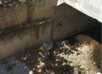 Περιφέρεια Αττικής: Πρόγραμμα αποκατάστασης πρανών σε ρέματα της βόρειας Αθήνας