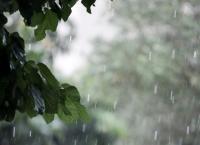 Χαλκιδική: Μεγάλα προβλήματα από τη βροχόπτωση