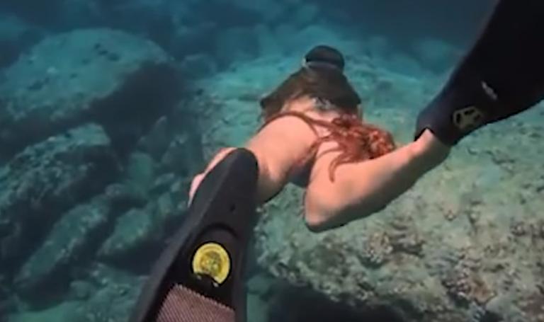 Απίστευτο: Χταπόδι γραπώθηκε από τον γλουτό πανέμορφης κολυμβήτριας (vid)