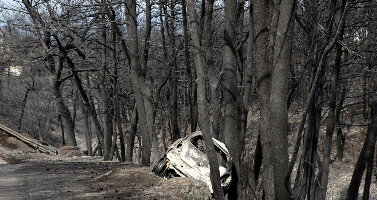 ΗΠΑ: Εκδηλώσεις αλληλεγγύης προς τα θύματα των πυρκαγιών