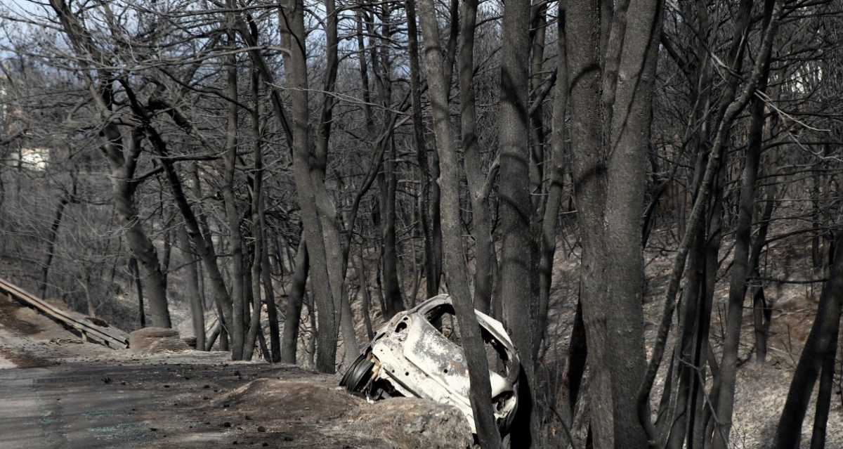 ΗΠΑ: Εκδηλώσεις αλληλεγγύης προς τα θύματα των πυρκαγιών