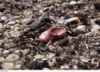 Νέα ζωή στα αποκαΐδια;