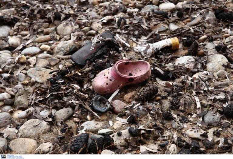 Νέα ζωή στα αποκαΐδια;