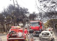 Φωτιά Αττική: Σοκαριστικές εικόνες – Τους τύλιξαν οι φλόγες και πέθαναν (pics)