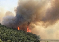 Φωτιά τώρα στην Κινέτα: Οι φλόγες μπήκαν στα σπίτια (vid)